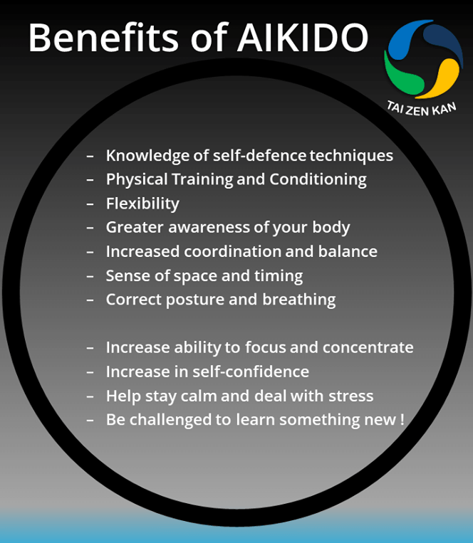 aikidoAd2_n